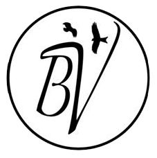 Buzzards Valley